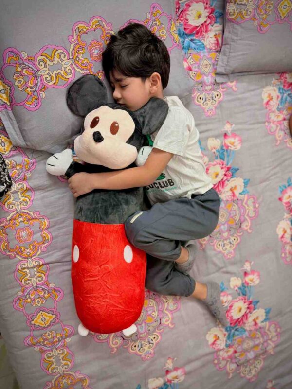 Micky Minnie pillow - Image 3