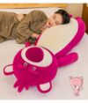 Chinese Lotso pillow