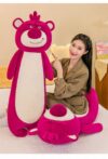 Chinese Lotso pillow - Image 3